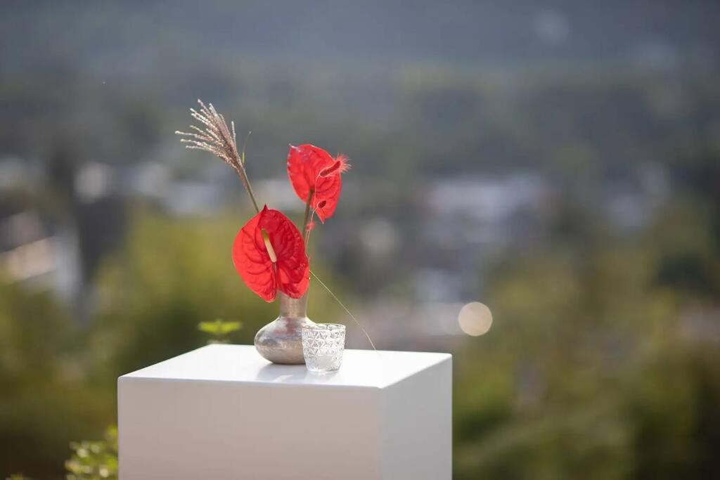 Villa Heckenfels Bad Honnef Dış mekan fotoğraf