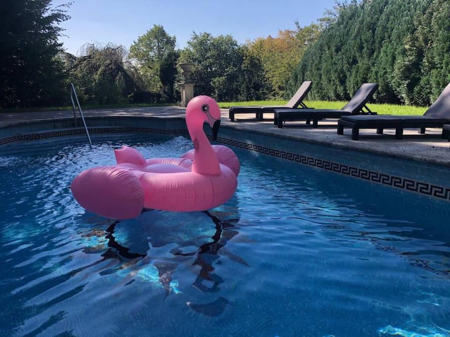 Villa Heckenfels Bad Honnef Dış mekan fotoğraf